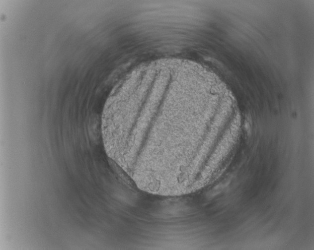 X0000075900867200610151814