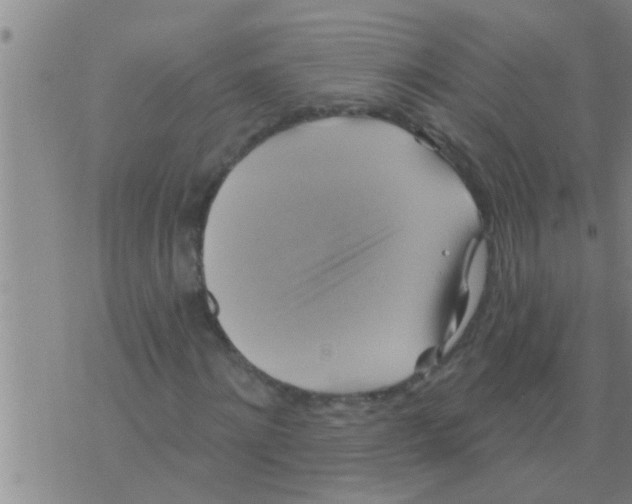 X0000075900868200610151814