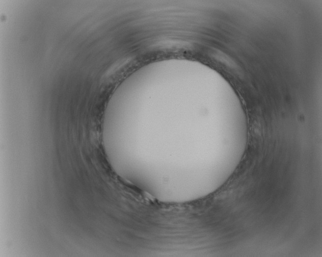 X0000075900869200610151814