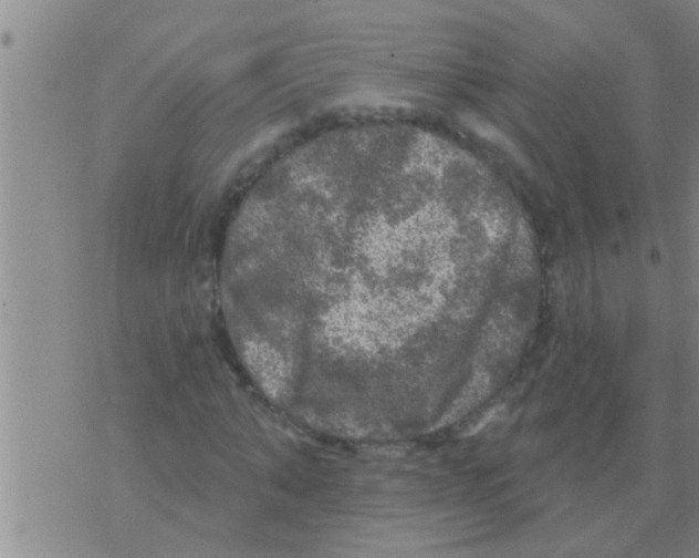 X0000075900870200610151814