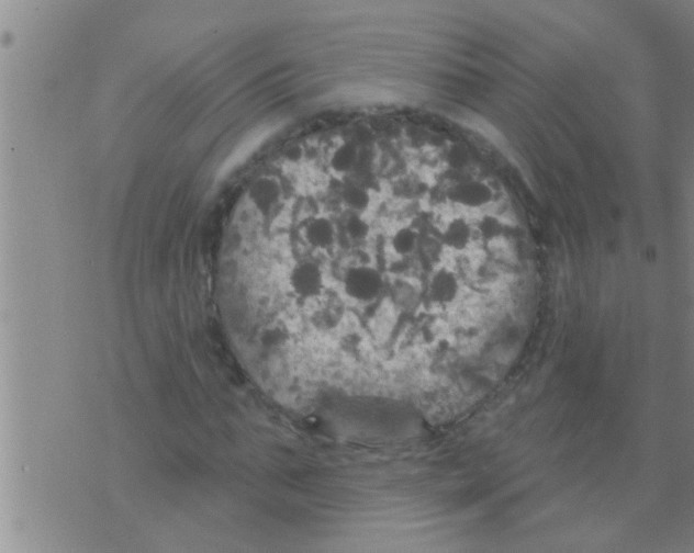 X0000075900871200610151813