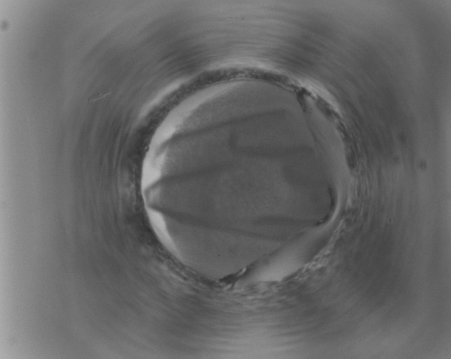 X0000075900872200610151813