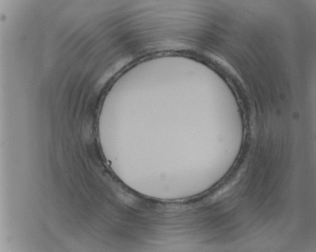 X0000075900873200610151813