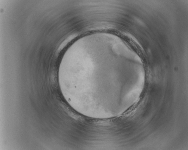 X0000075900874200610151813