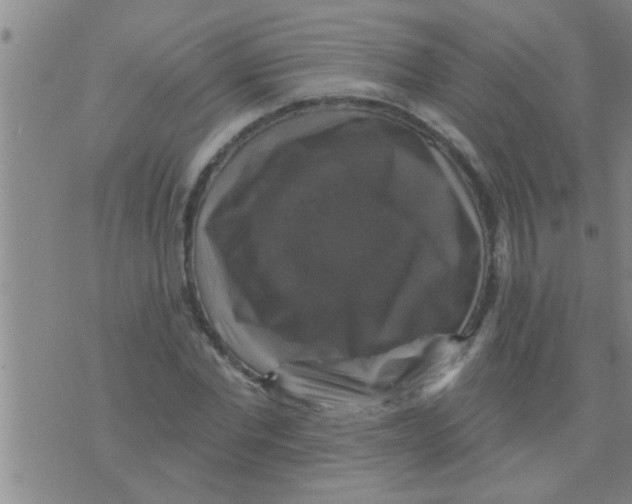 X0000075900877200610151813