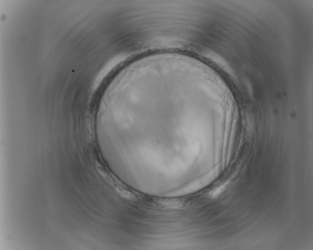 X0000075900878200610151813