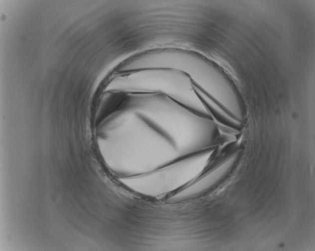 X0000075900880200610151813