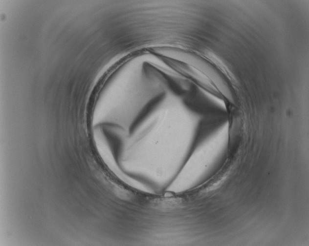 X0000075900884200610151813