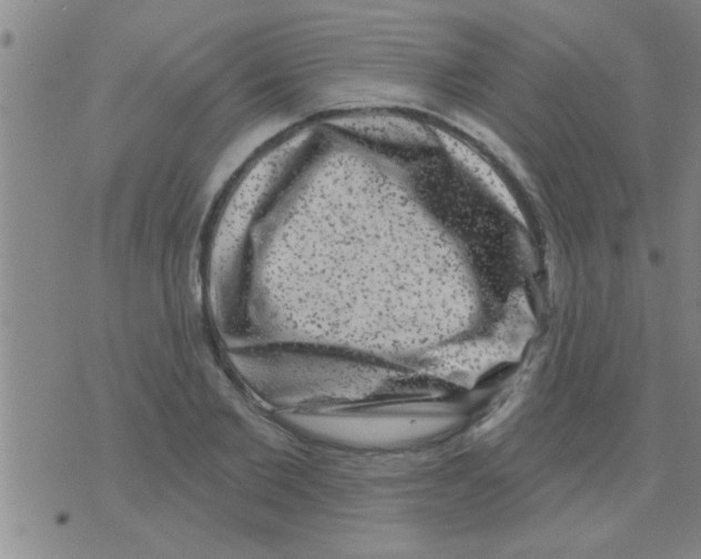 X0000075900885200610151813