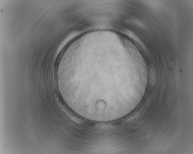 X0000075900886200610151813