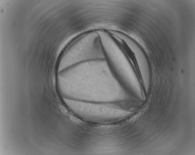 X0000075900888200610151813