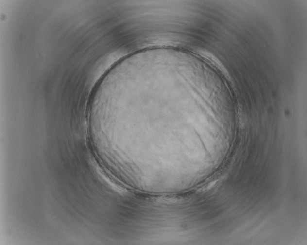 X0000075900890200610151813