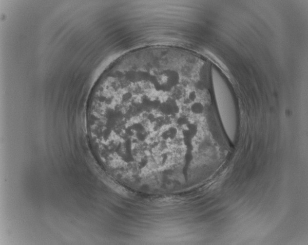 X0000075900891200610151813