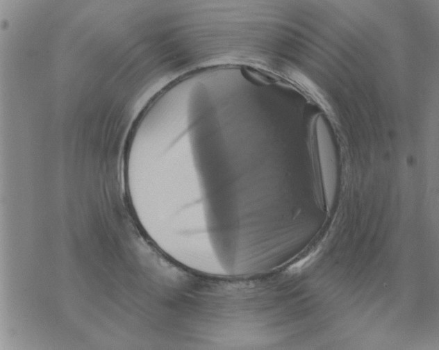 X0000075900892200610151813