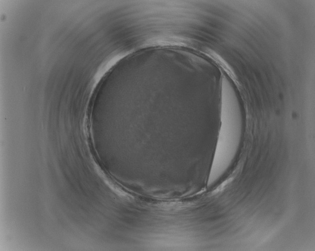 X0000075900893200610151813