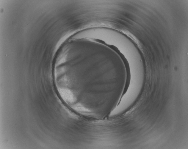 X0000075900894200610151813