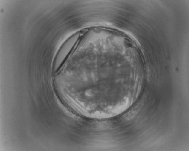 X0000075900895200610151813