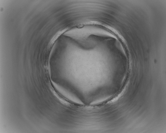 X0000075900897200610151813