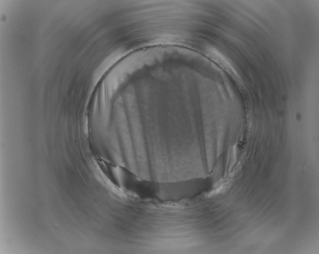 X0000075900900200610151813