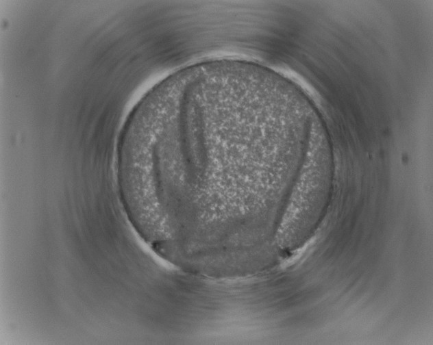 X0000075900902200610151813