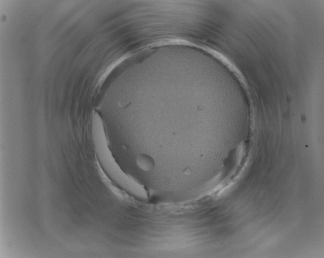 X0000075900905200610151813