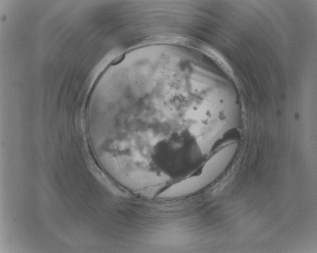 X0000075900907200610151813