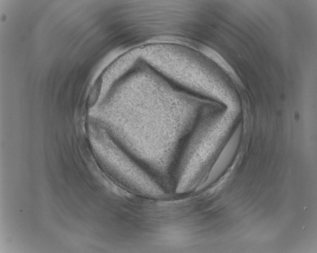 X0000075900908200610151813