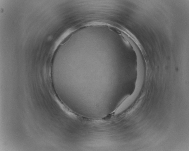 X0000075900909200610151813