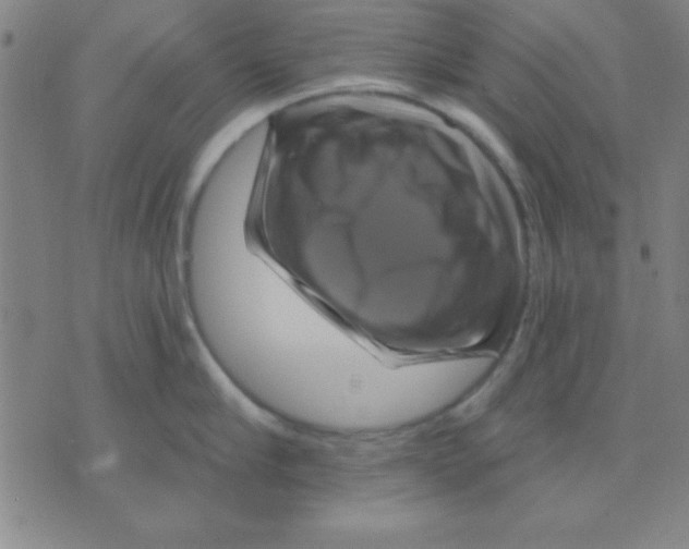 X0000075900910200610151813