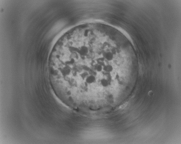 X0000075900911200610151813