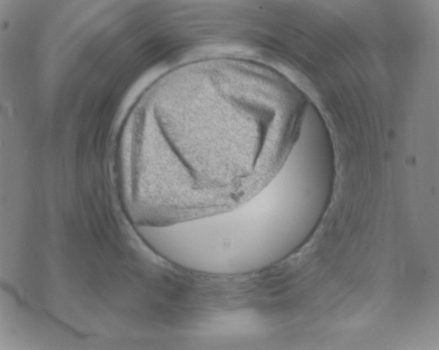 X0000075900912200610151813