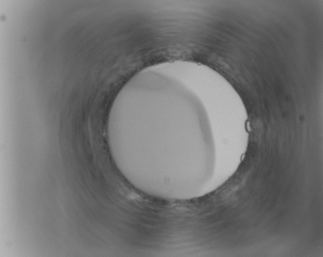 X0000075900913200610151812