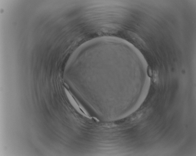 X0000075900915200610151812