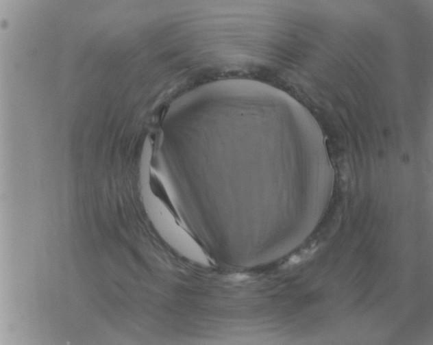 X0000075900916200610151812