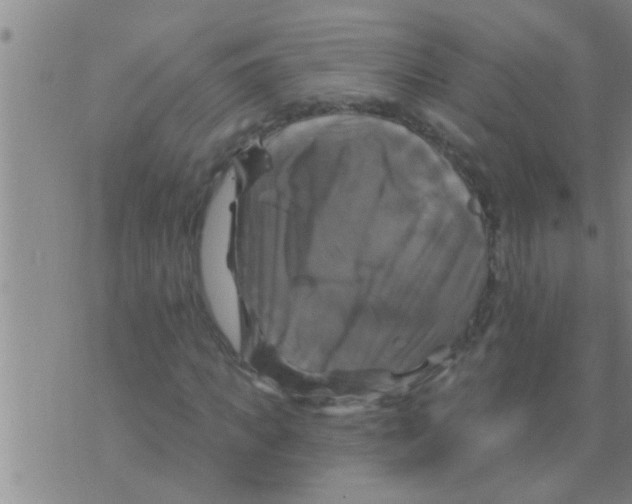 X0000075900917200610151812