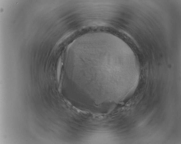 X0000075900919200610151812