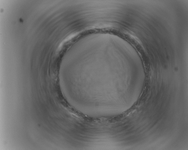 X0000075900920200610151812