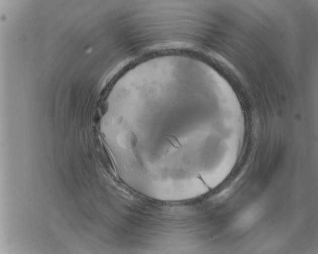 X0000075900921200610151812