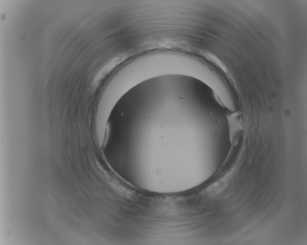 X0000075900922200610151812