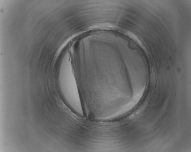 X0000075900923200610151812