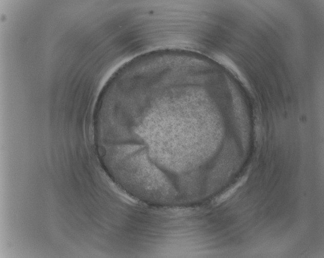 X0000075900924200610151812