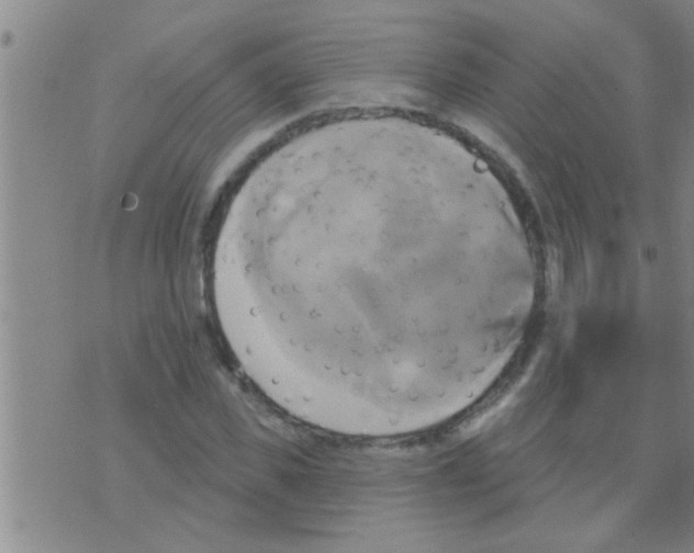 X0000075900925200610151812