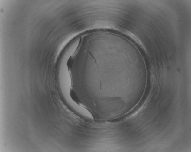 X0000075900926200610151812