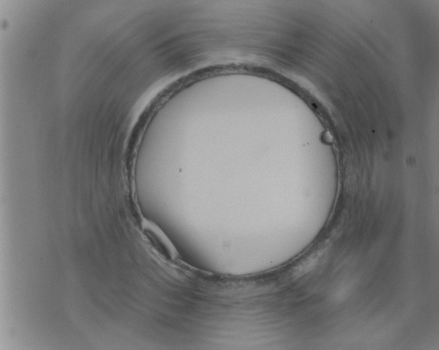 X0000075900927200610151812