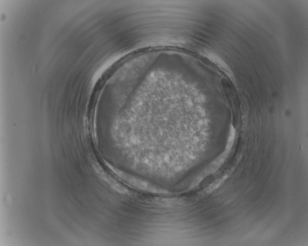 X0000075900928200610151812