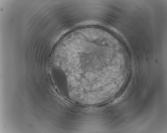 X0000075900929200610151812