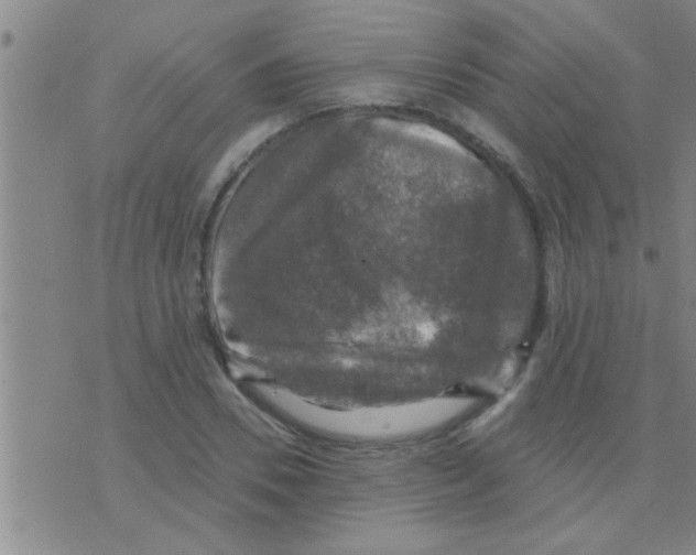 X0000075900930200610151812