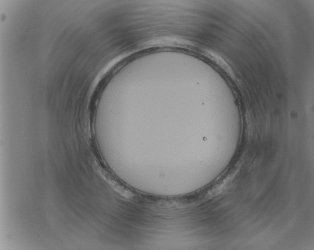 X0000075900931200610151812