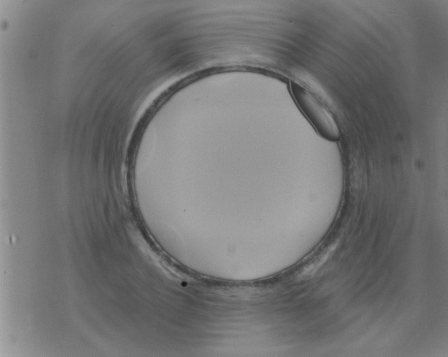 X0000075900932200610151812