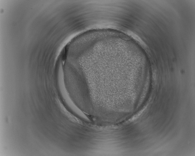 X0000075900934200610151812